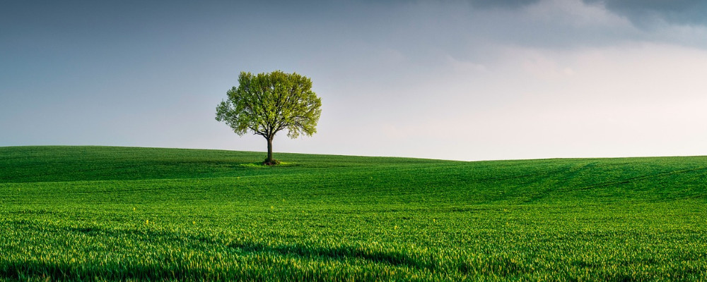 ecoway-environmental-consultancy